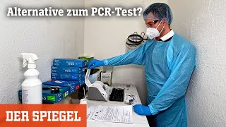 PoCNatTests Ist das die Lösung für den PCREngpass  DER SPIEGEL [upl. by Jorgan802]