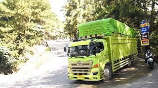 Beautiful Heavy Load truck Hino Are Struggling in bend Sitinjau Lauik  Truck Driving Skills [upl. by Beane314]