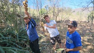 EL DE LAS PELOTAS🤠QUIERE ASER🤣ATOL DE PIÑUELA☕️El Salvador Es Mi pais🇸🇻 [upl. by Celine]