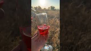 redberry juice turkey minivlog utubeshorts [upl. by Imelda605]