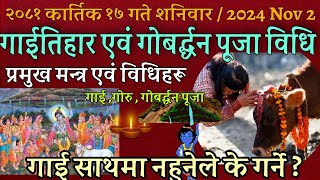 मन्त्रसहित गाईतिहार पूजा विधि  गोवर्धनगोरु पूजाविधि  gobardhan puja vidhi 2081  gai tihar 2024 [upl. by Humph]