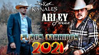 Arley Perez Ft Kanales  Corridos Con Banda Para Pistear Mix 2021  Exitos De Oro [upl. by Orville414]