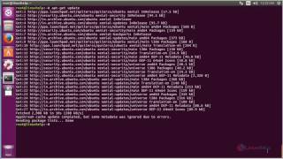 How to install QuiteRSS in Ubuntu [upl. by Justen]