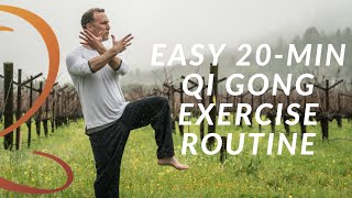 20Min Qi Gong Exercise Routine  Easy Home Workout with Lee Holden [upl. by Amiel]