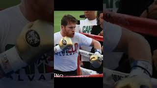 El legado de canelo Alvarez canelo shorts [upl. by Irneh]