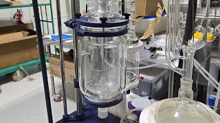 5L Ractor for Making Medicinal Mushroom Lions Mane Concentrate [upl. by Sera85]