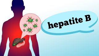 HEPATITE B sintomas fases contaminação e prevenção [upl. by Vassar397]