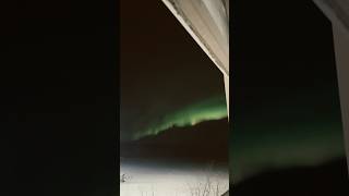 Mesmerizing Northern Lights Display  Nature’s Dazzling Light Show viralvideo northernlights [upl. by Inalej]