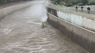 LA River Rescue Caught on Camera  Studio City [upl. by Twedy]