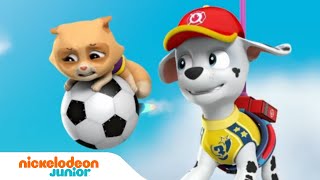 Paw Patrol  La Pat Patrouille  La Pat Patrouille joue au football   Nick Jr [upl. by Ellennej]