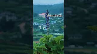 This is Nuwara Eliya  Subscribe me  nature travel travelsl nuwaraeliya srilanka nuwara [upl. by Barolet]