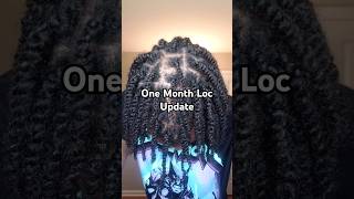 One Month Loc Update 🌟 Days 131 locs buddhalocs starterlocs locjourney [upl. by Gobert]