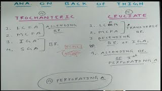 Trochanteric and Cruciate Anastomosis  Part 1  The Charsi of Medical Literature [upl. by Ades870]