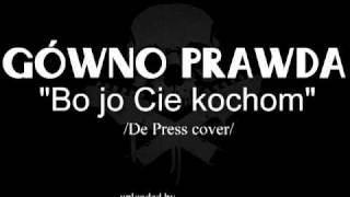 gówno prawda  bo jo Cie kochom de press cover [upl. by Weinreb]