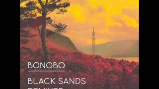 Bonobo  Ghost Ship Version 2012 [upl. by Ackley752]