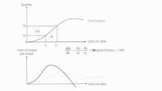 Introduction to Production Introduction Average Product Marginal Product Total Product [upl. by Litnahs50]