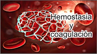 Fisiología  Hemostasia y Coagulación [upl. by Puttergill573]