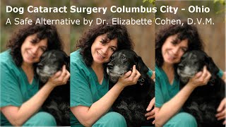 Dog Cataract Surgery Columbus City  Ohio  MUST SEE Canine Cataract Video [upl. by Enelehcim929]