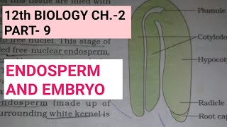 Class 12 biology chapter2Part9post fertilisationstructures and eventsStudy with farru [upl. by Abigale]