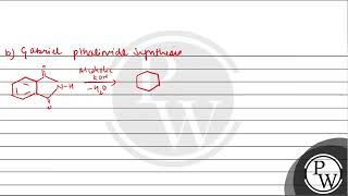 Explain briefly a Carbylamine reactionb Gabriel phthalimide synthesis [upl. by Krell]