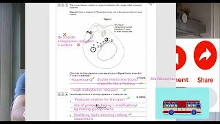 ALevel Biology paper 1 2023 Question 3 walkthrough Eukaryotic cells and natural selection [upl. by Esirahs]