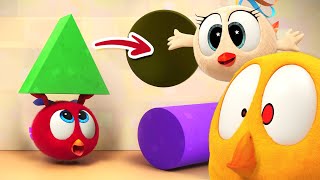 Learning with friends  Wheres Chicky  Cartoon Collection in English for Kids  New episodes [upl. by Colston]