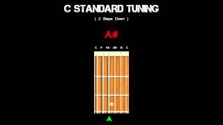 Guitar Tuning  C Standard  2 Steps Down [upl. by Edahs]