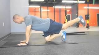 Quadruped Hip Extension [upl. by Agee]