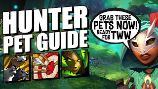 The ULTIMATE Hunter Pet Guide [upl. by Burkley596]