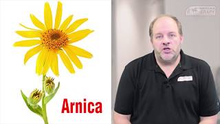 Dr Sean McConnell Arnica and its amazing benefits [upl. by Aihsenyt]