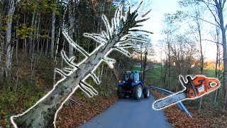 Farmers POV  Clearing Dangerous Hung Trees  New Holland T475 Husqvarna 353 [upl. by Barimah627]