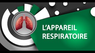 Anatomie  LAppareil respiratoire [upl. by Inig]