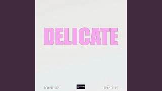 Delicate Originally Performed By Taylor Swift Karaoke Version [upl. by Zingale]