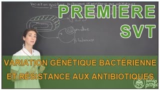 Variation génétique bactérienne et résistance aux antibiotiques  SVT  1ère  Les Bons Profs [upl. by Latsyc]