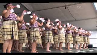 Wellington regional kapa haka winners [upl. by Magnolia813]