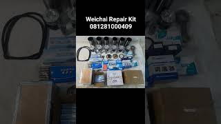 Engine repair kit weichai yuchai xinchai Shangcai 081281000409weichaienginerepairkit repairkit [upl. by Eima]