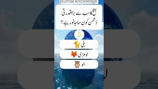 Journal knowledge questions quiz journalknowledge islamicgkknowledge gk gkquiz ytshorts [upl. by Pedersen]