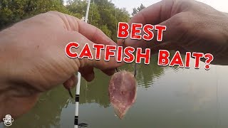 How To Catch Catfish From The Bank  Catfishing Bait Rigs amp Tips [upl. by Dympha13]