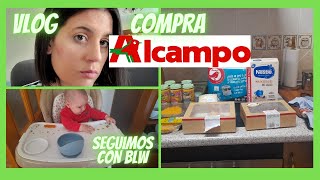 VLOG COMPRA EN ALCAMPOPROBAMOS MAS COSAS CON MARTIN [upl. by Bartholomeus]