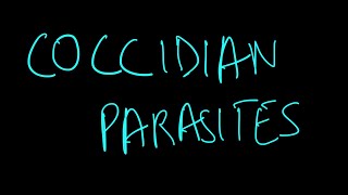 COCCIDIAN PARASITIC INTESTINAL INFECTIONS  GASTROINTESTINAL SYSTEM  MICROBIOLOGY [upl. by Amla]