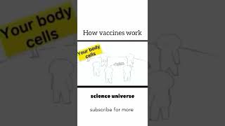 How vaccine works  funnyshorts biology 1million viralshorts [upl. by Ahsimac273]