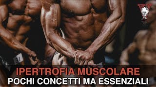 Ipertrofia muscolare cosè e come ottenerla Aumentare la massa muscolare [upl. by Nibot58]