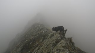 Sharp Edge Blencathra November 3rd 2024 [upl. by Saile]