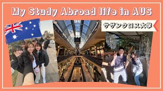 【認定留学Vlog】オーストラリア・サザンクロス大学での1日  My studyabroad life in AUS🇦🇺 [upl. by Eilah]