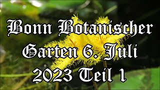 Bonn Botanischer Garten [upl. by Decima]