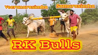 RK Bulls Vetapalem up Coming New category bullsSamarasimha Veeranarasimha [upl. by Gratianna718]