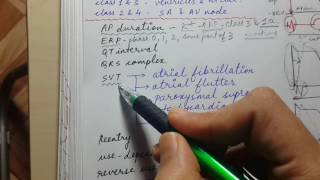 ANTIARRHYTHMIC DRUGS class 1 and class 3  USMLE STEP 1 CARDIAC PHARMACOLOGY [upl. by Tilford153]