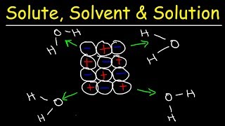 Solute Solvent amp Solution  Solubility Chemistry [upl. by Enialedam]