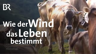 Wetter in Südtirol Sommerwinde auf der Alm am See und auf dem Feld  Unter unserem Himmel  BR [upl. by Aitnahc]