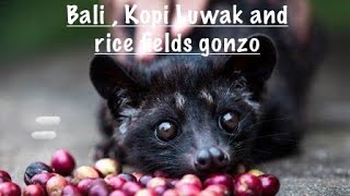 Bali rice fields Kopi Luwak coffee plantation and happy birthday to Mrs Mental [upl. by Eninaej173]